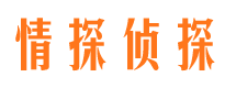 驻马店市私家侦探